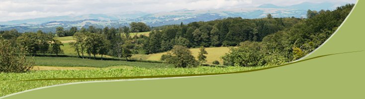 Paysage du Cantal à Imbert